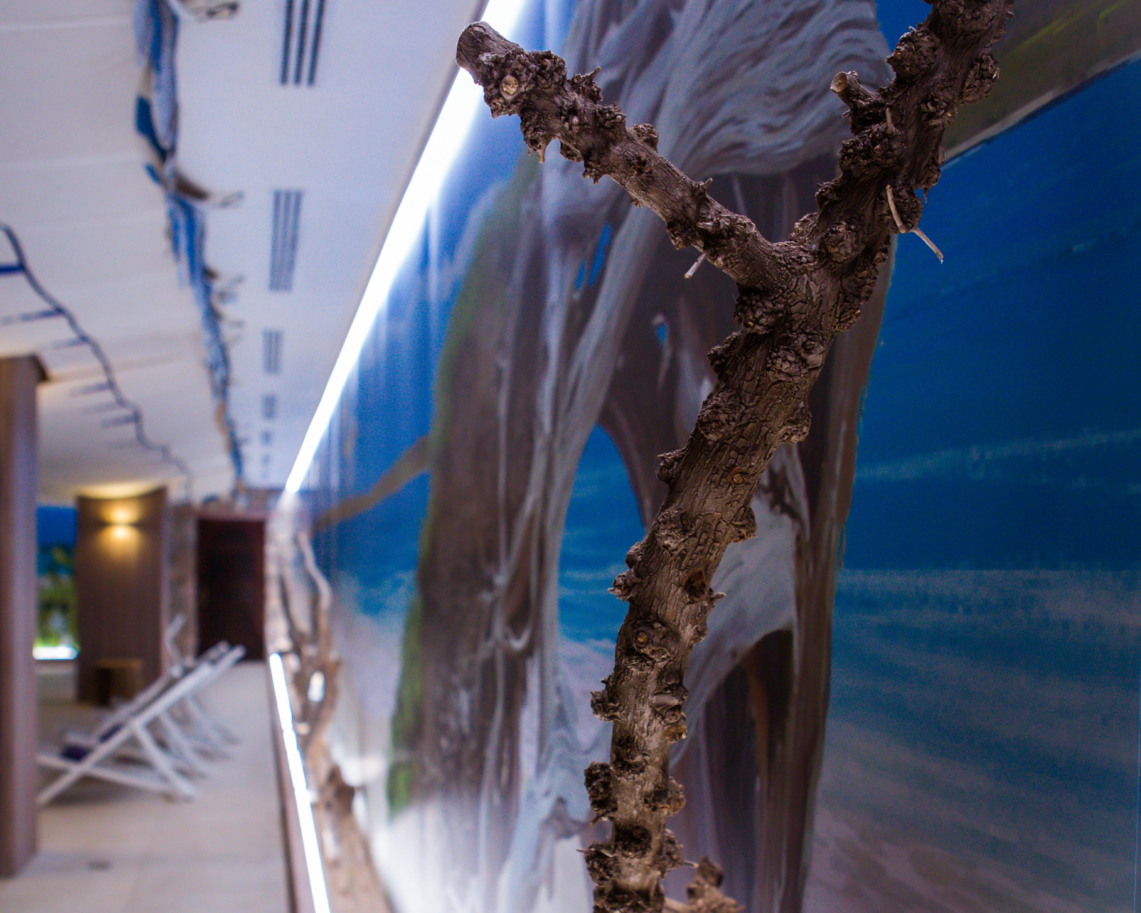 Hotel Bahia Del Sol Santa Ponsa Exterior photo